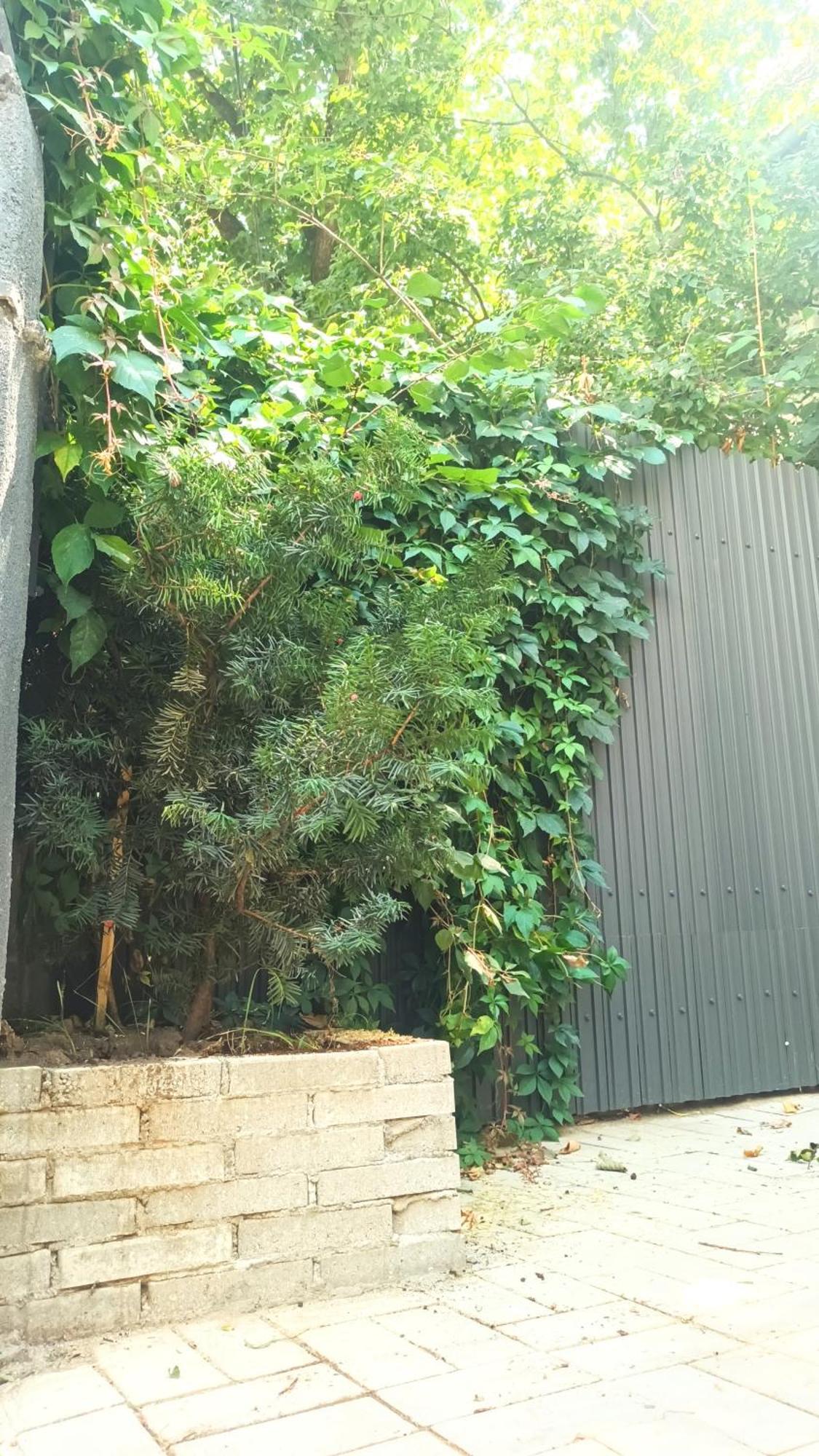Littlehouse- Entire Property For Maximum 4 People Βουκουρέστι Εξωτερικό φωτογραφία